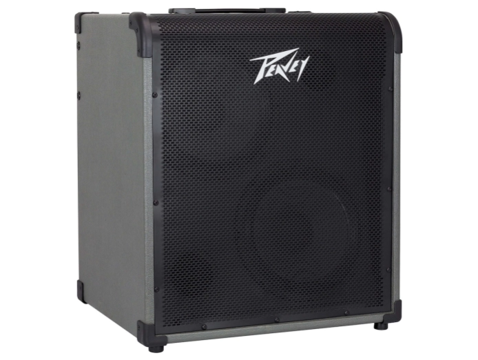 Peavey Max 300